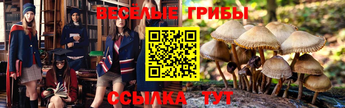 Саяногорск  Псилоцибиновые грибы MAGIC MUSHROOMS  Вход с VPN 